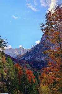 a view of a mountain with fall foliage and trees at Gorsko zavetje Cottage in Soča +24 photos
