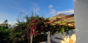 a pergola with flowers and a mountain in the background at Casa Marel in Stromboli