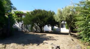 a yard with trees and a white house at Casa Marel in Stromboli +6 photos