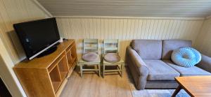 ein Wohnzimmer mit Sofa und Flachbildfernseher in der Unterkunft Stølsheim in Tyinkrysset