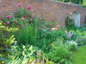 a garden with many different flowers and plants at Saltersgate in Pickering