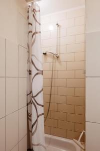 a shower in a bathroom with a shower curtain at Ferienhaus Napoleon in Waldmünchen +22 photos
