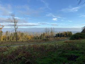 a road in the middle of a field with trees at The Boyne Arms Cottage in Burwarton +15 photos