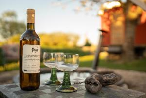 a bottle of wine and two glasses on a table at Tiny Wineyhouse 3 in Zennewijnen