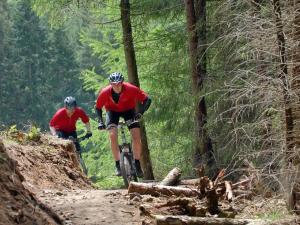 two men riding bikes on a dirt trail at Hungate Garden Cottage in Pickering