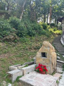 Ein Stein mit Blumen in einem Topf neben einer Treppe in der Unterkunft ONE Center in Fanano