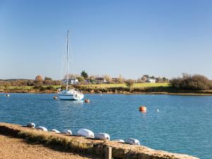 a sail boat sitting in the water with a row of seals at Peacehaven in Shalfleet