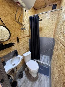 a small bathroom with a toilet and a sink at Dream House in Yerevan +43 photos
