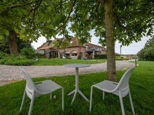 two chairs and a table under a tree at Anc. Seigneurie de Boucaut in Leuze-en-Hainaut