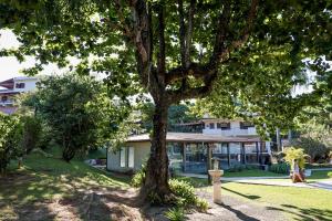 a tree in a park next to a building at Hotel Santa Amalia in Vassouras