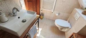 a bathroom with a sink and a toilet at Cztery Pory Lasu in Silna Nowa