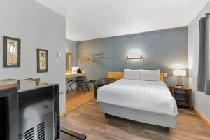 a bedroom with a bed and a flat screen tv at Timber Ridge Lodge Ouray in Ouray