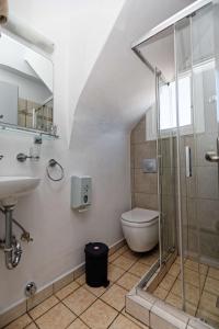 a bathroom with a shower and a toilet and a sink at Argonaftis Spetses in Spetses