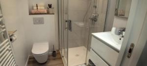 a bathroom with a shower and a toilet and a sink at L'Etable d'Armand in Névez