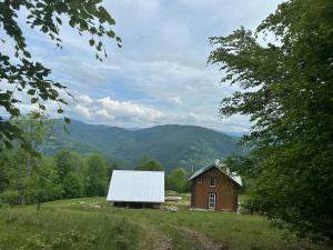 a small house with a white roof in a field at Погарь Квасівський in Kvasy