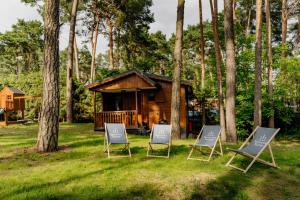 a cabin in the woods with two chairs in the yard at Sosnowe Tarasy in Boszkowo-Letnisko