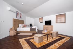 a bedroom with a bed and a tv and a rug at AL Hirondelle in Sernancelhe