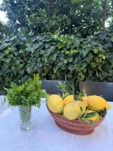 a basket of fruit on a table with a vase at The Hidden Orchard near Saranda in Delvinë +21 photos