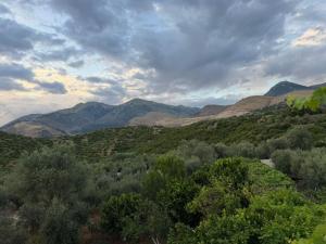 a view of a valley with mountains and trees at The Hidden Orchard near Saranda in Delvinë