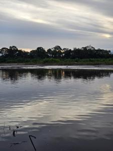 a lake with two ducks in the water at Dorado Lodge in Manú