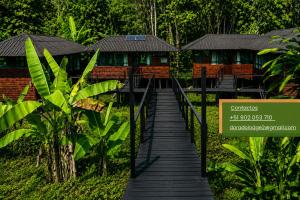 a wooden walkway leading to a resort building at Dorado Lodge in Manú