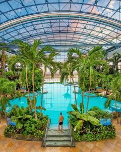 a man standing in front of a pool with palm trees at ClausStudio Greenfield Baneasa Therme Aeroport in Otopenii de Jos