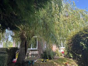 a tree in front of a house with a picnic table at La briqueterie in Bourseville