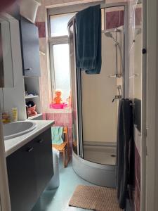 a bathroom with a shower and a sink at La briqueterie in Bourseville
