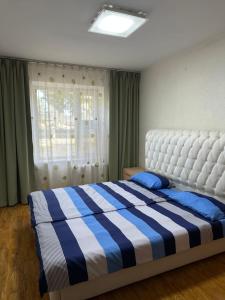 a bedroom with a blue and white bed with a window at Cozy 2 BR Apartment with Easy Access in Ulaanbaatar
