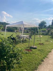a tent sitting in the grass in a field at Nevade home in Gornji Milanovac