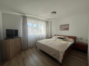 a bedroom with a bed with a television and a window at Pokoje i apartamenty Pod Dębem in Rowy