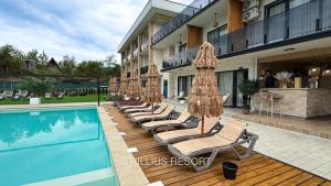 a row of lounge chairs and umbrellas next to a swimming pool at HILLIUS Resort in Solotvyno