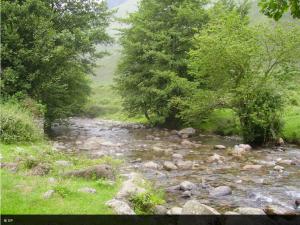a river with rocks and trees in a field at La maison de la Mouline in Arette