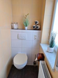 a bathroom with a toilet and two potted plants at Kleinstadt-Fritz in Radeburg