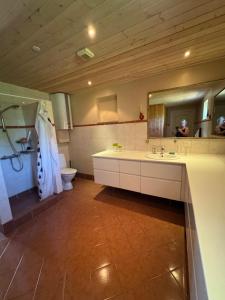 a bathroom with a sink and a toilet and a mirror at Bøtøstrand anneks in Bøtø By +54 photos