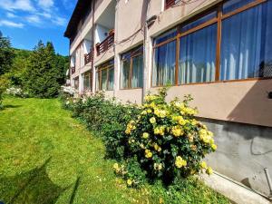 a building with flowers on the side of it at Pensiunea Agroturistică Piscul Soarelui in Capu Piscului