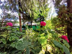 a garden with pink flowers and a house in the background at Pensiunea Agroturistică Piscul Soarelui in Capu Piscului