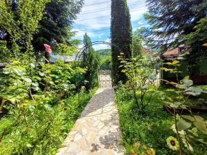 a garden with a stone walkway in the grass at Pensiunea Agroturistică Piscul Soarelui in Capu Piscului