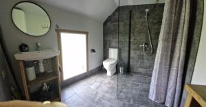 a bathroom with a shower and a toilet and a sink at Guest House Podnieki in Ventspils +98 photos