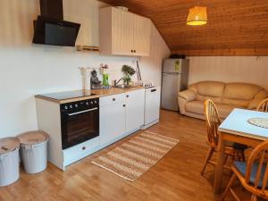 a kitchen and living room with a table and a couch at ZenHouseApartment in Ljubno