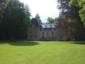 une grande maison avec un champ herbeux devant elle dans l'établissement Chateau de la Raffe, à Naix-aux-Forges