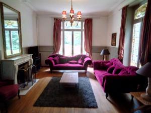 a living room with purple couches and a fireplace at Chateau de la Raffe in Naix-aux-Forges