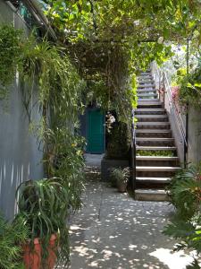 a stairway with a green door and some plants at Charlys Place in San Salvador