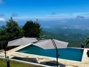 two white umbrellas sitting next to a swimming pool at REFUGIO el CAMPANO in Minca
