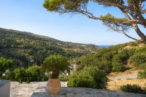 a view of a mountain from a house with a tree at 9 Muses in Andros