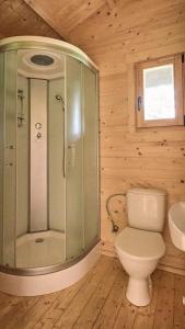 a bathroom with a shower and a toilet and a sink at Jūros terasos in Šventoji