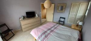 a bedroom with a bed and a tv on a dresser at Le mas christiane in Buis-les-Baronnies