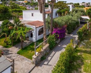 a villa with a view of the garden at Residence Parco Gioconda in Forio d'Ischia