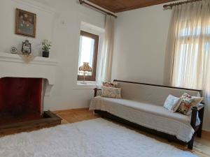 a living room with a couch and a fireplace at Heidis Haus in Polygryos