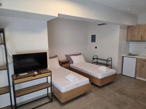 a room with two beds and a flat screen tv at Amaryllis Luxury Living in Nea Vrasna